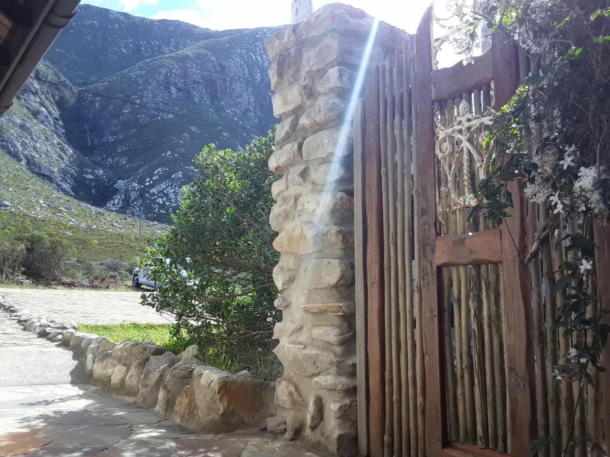 Hotel The Trailhouse Bettyʼs Bay Esterno foto