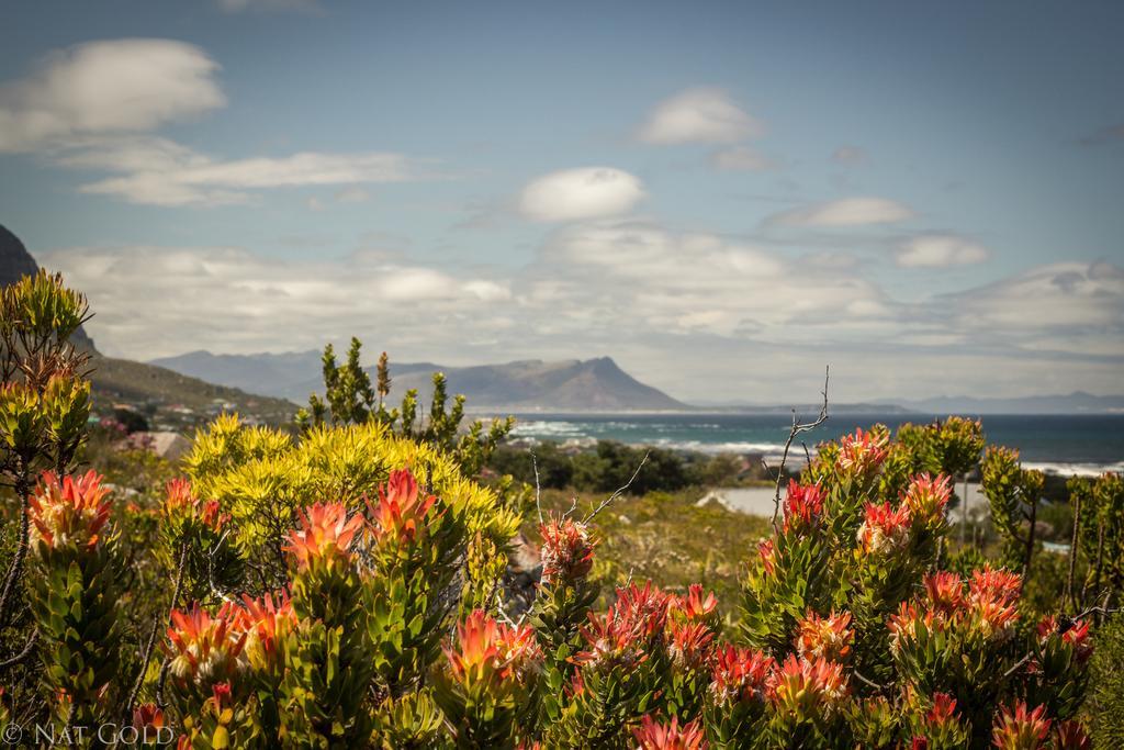 Hotel The Trailhouse Bettyʼs Bay Esterno foto